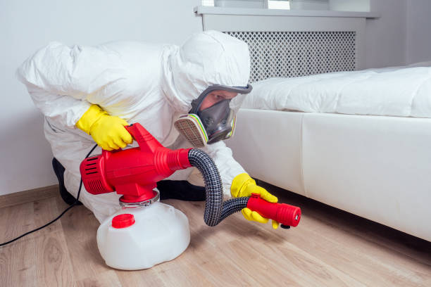 Best Best Pest Control Companies  in Lake Worth, TX