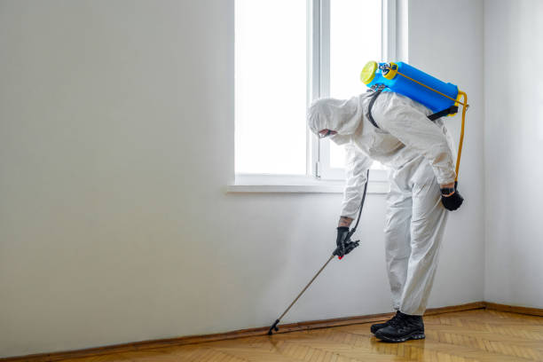 Best Pest Prevention Services  in Lake Worth, TX