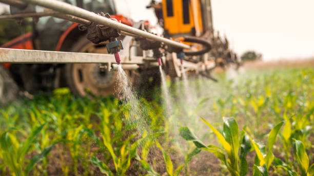 Pest Control Cost in Lake Worth, TX